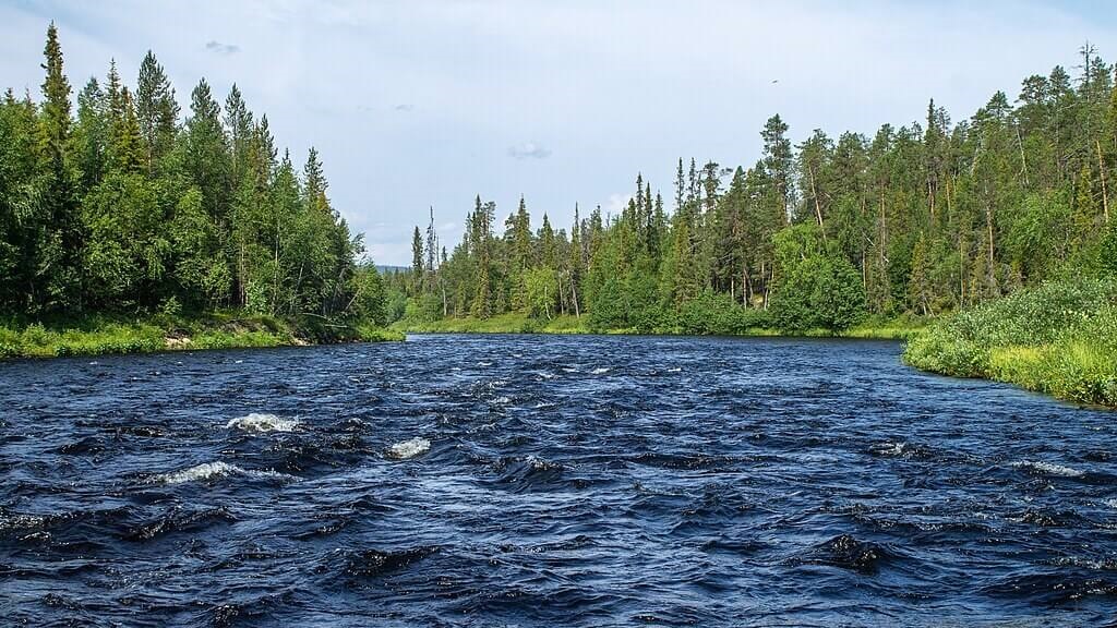 Подбор экологических туров